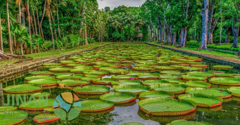 برنامج سياحي إلى موريشيوس 12 يوم