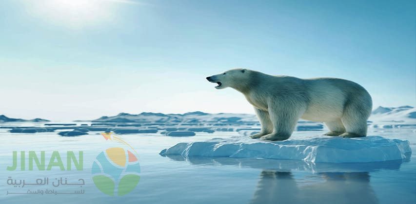 باتومي في الشتاء