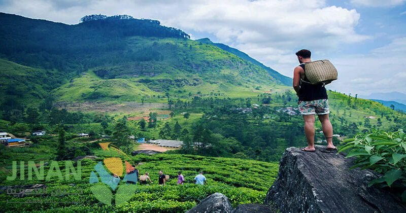 برنامج سياحي سريلانكا 7 ايام