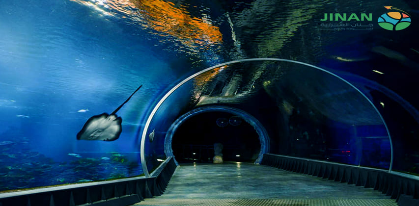 اليوم الثاني بولندا 10