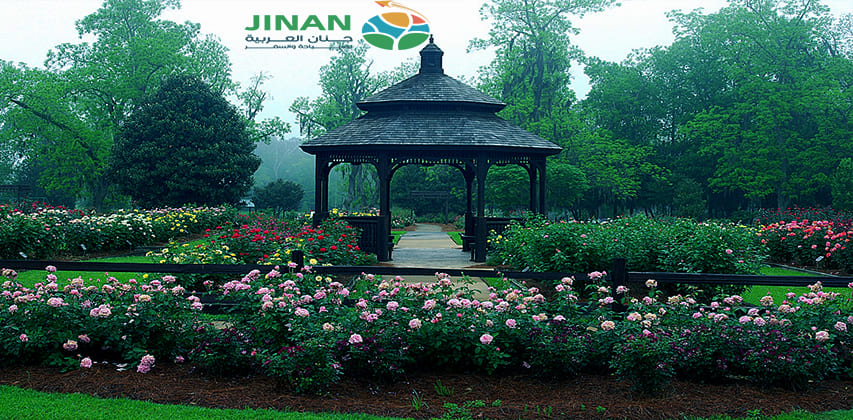 اليوم السادس جورجيا 11