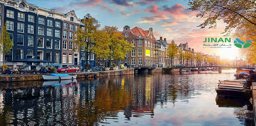 اليوم الثاني هولندا 10