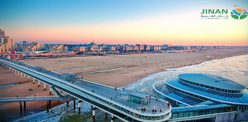 اليوم السادس هولندا 10