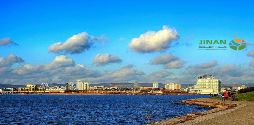 رحلة التوجه إلى كارديف