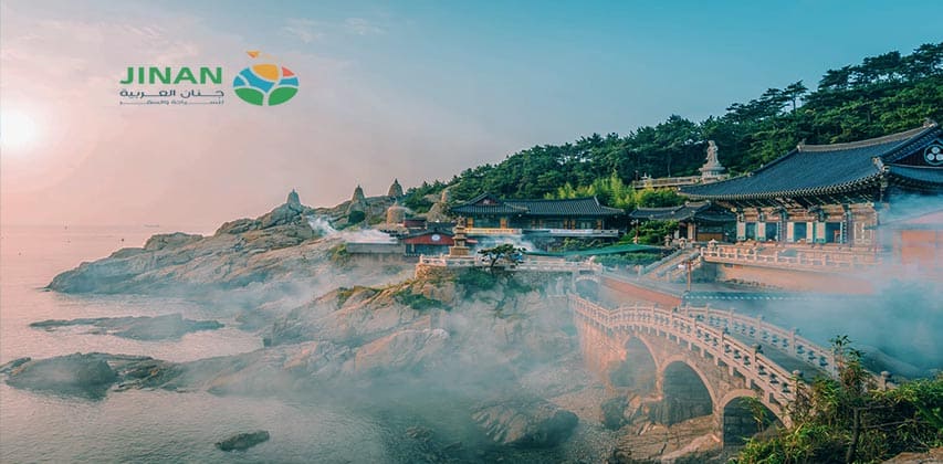 استكشاف بوسان