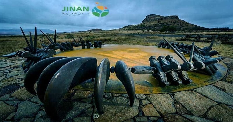 برنامج سياحي الى جنوب افريقيا 12 يوم