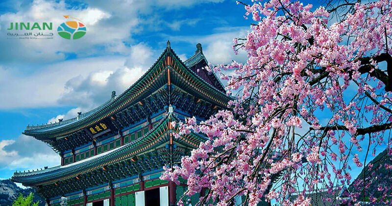 برنامج سياحي الى كوريا الجنوبية لمدة 5 أيام