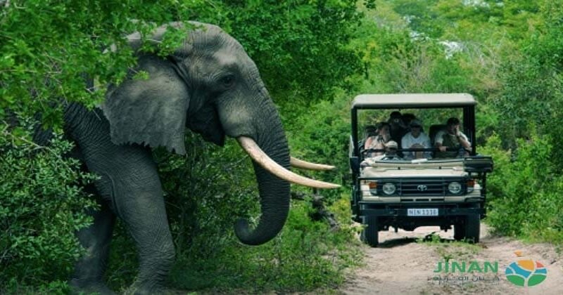 جدول سياحي الى جنوب افريقيا 15 يوم