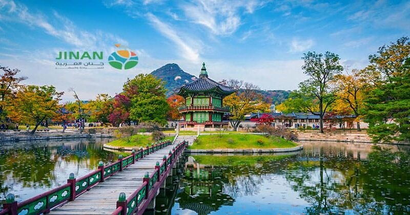 جدول سياحي الى كوريا الجنوبية لمدة 12 يوم