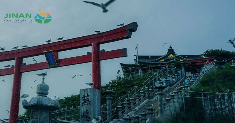 برنامج سياحي اليابان 12 يوم