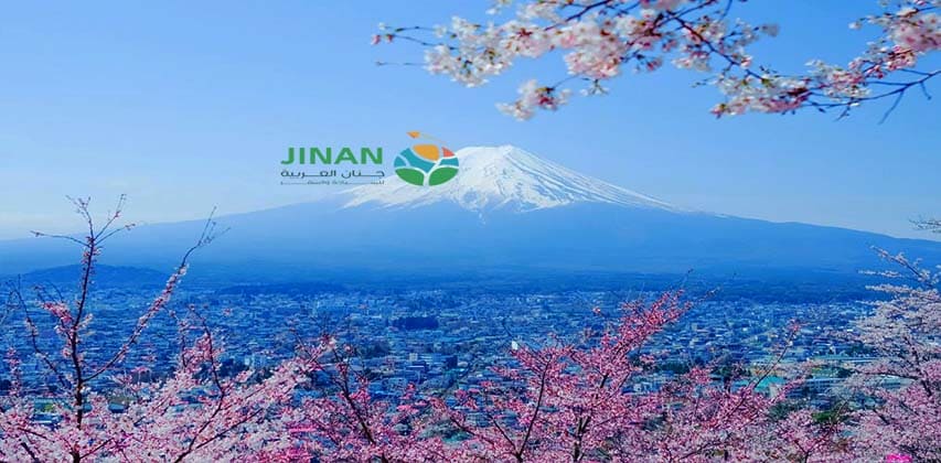 رحلة إلى جبل فوجي