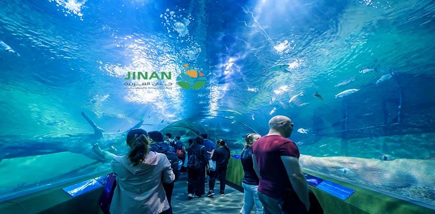 حوض أسماك شنغهاي