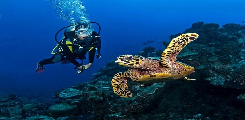 الغوص في ماريان روك