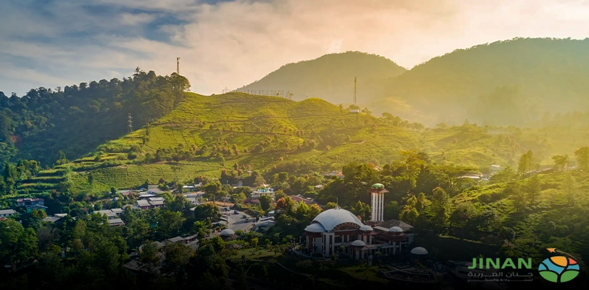 التجول في بونشاك