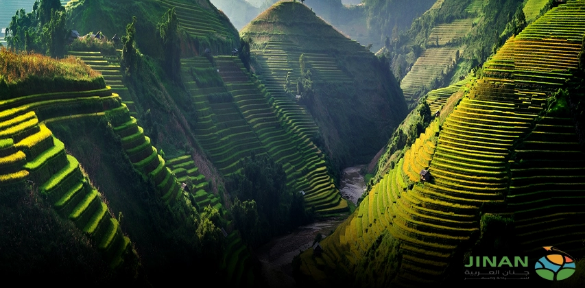 السفر إلى الجبل الأخضر