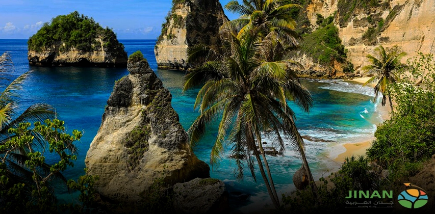 جولة في جزيرة بالي