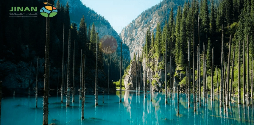 جولة في منتزه بورفوي الوطني