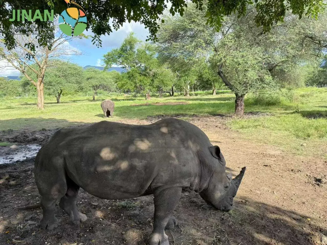 برنامج سياحي في موريشيوس