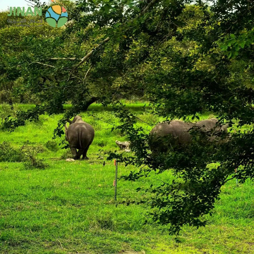 بكج سياحي موريشيوس