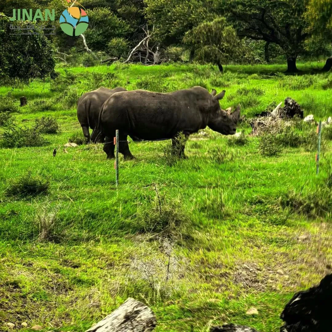 بكج شهر عسل موريشيوس