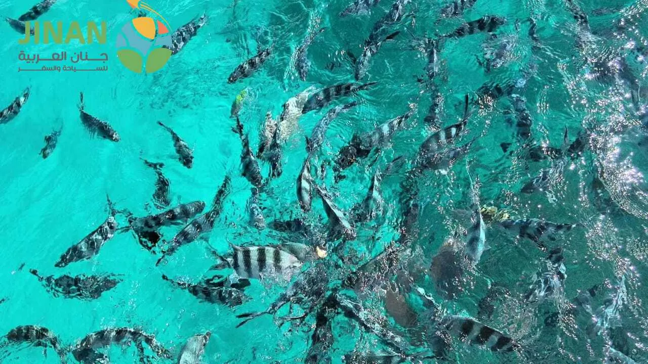 جدول سياحي موريشيوس