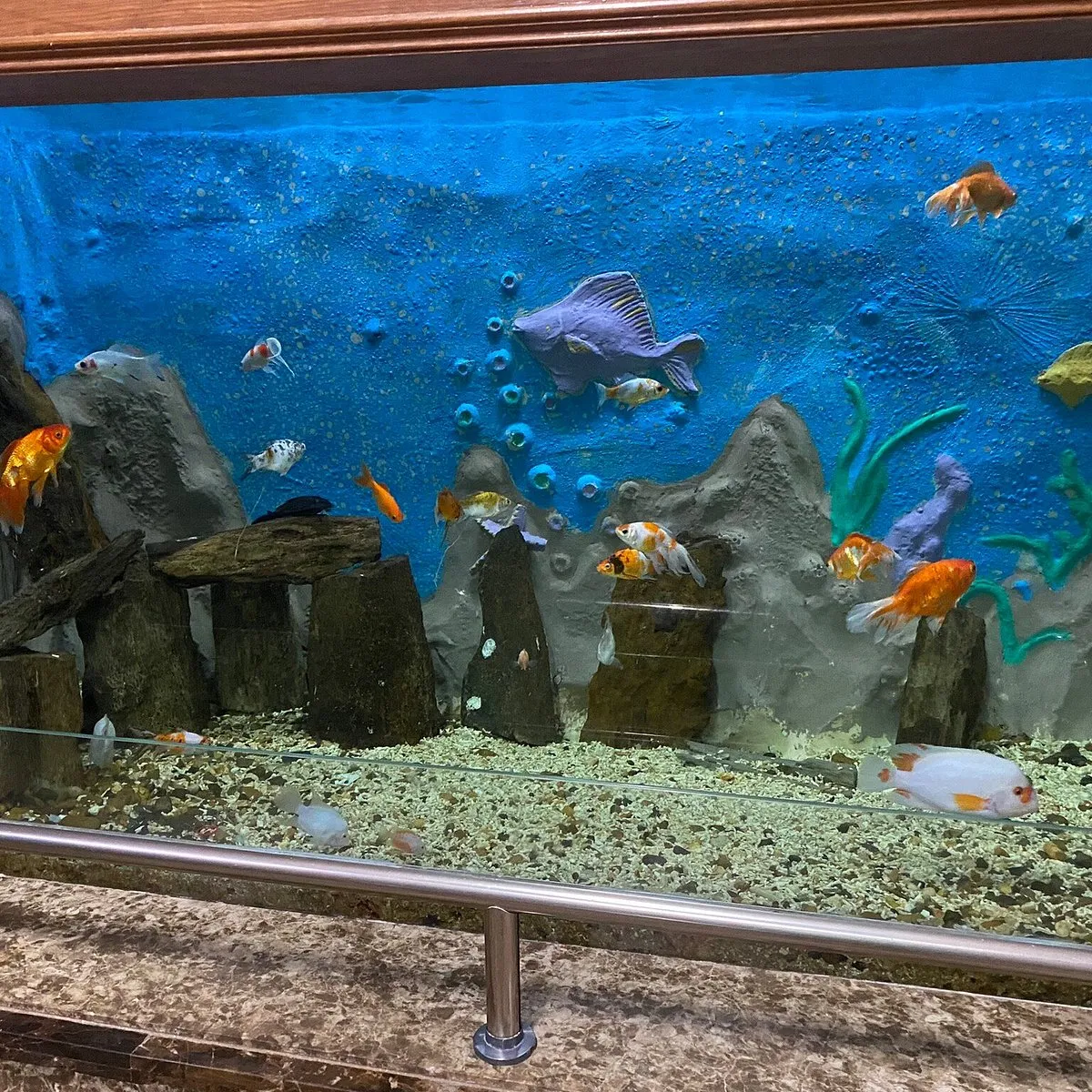 متحف الاحياء المائية